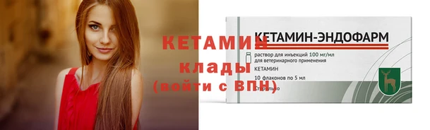 стафф Михайловск
