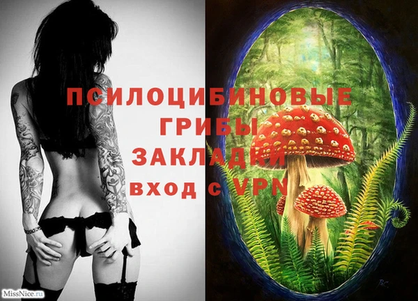 гашишное масло Михайлов