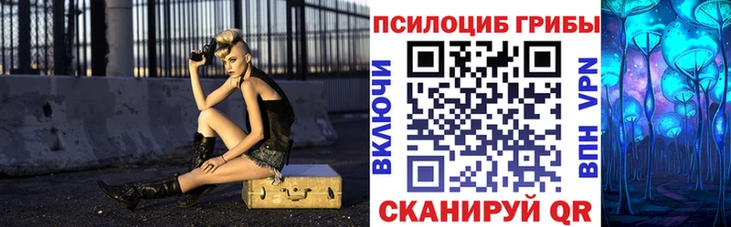 Псилоцибиновые грибы Cubensis  Пойковский 